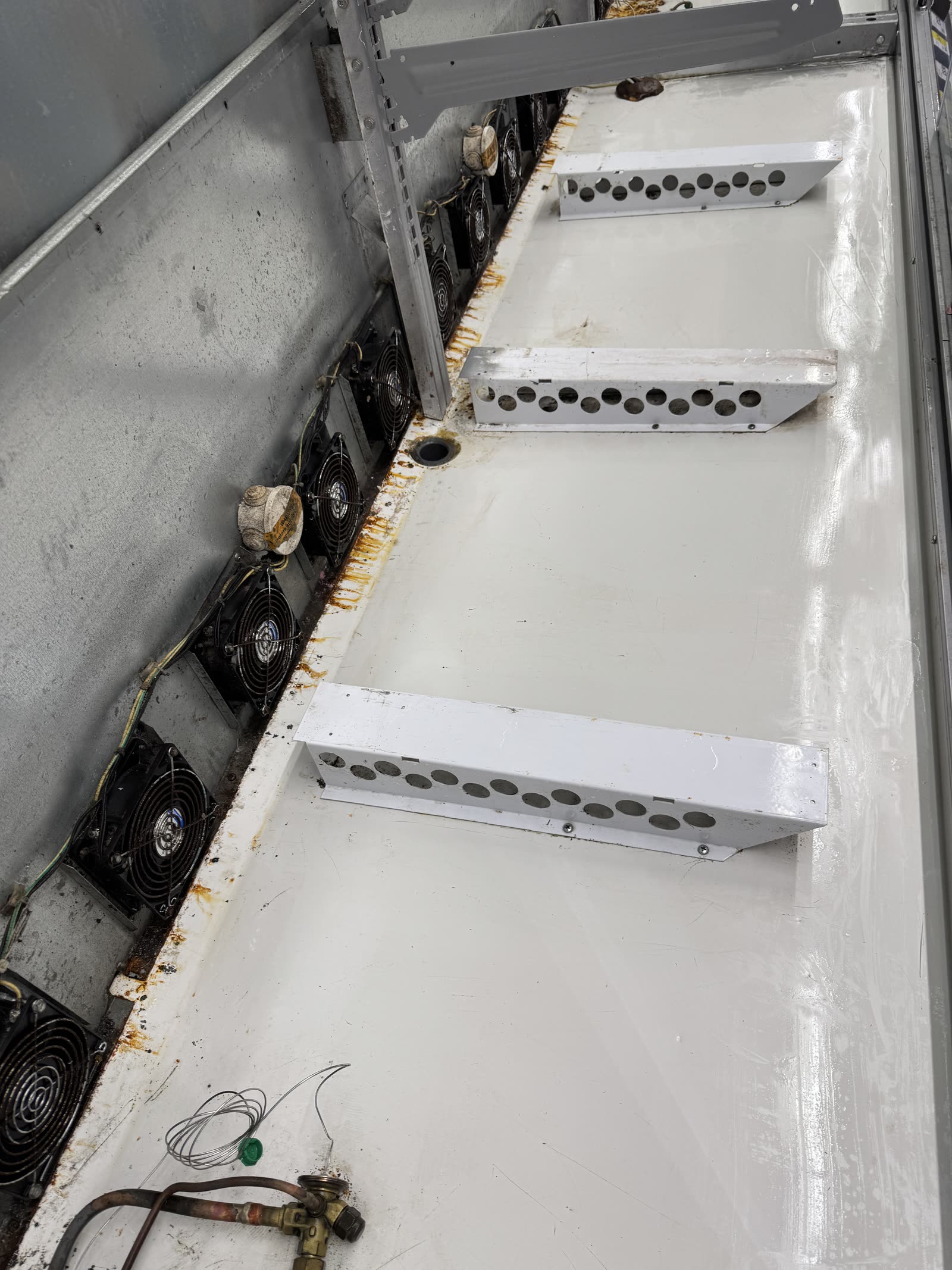 Display fridge baffles — rust and biofilm scrubbed away — after