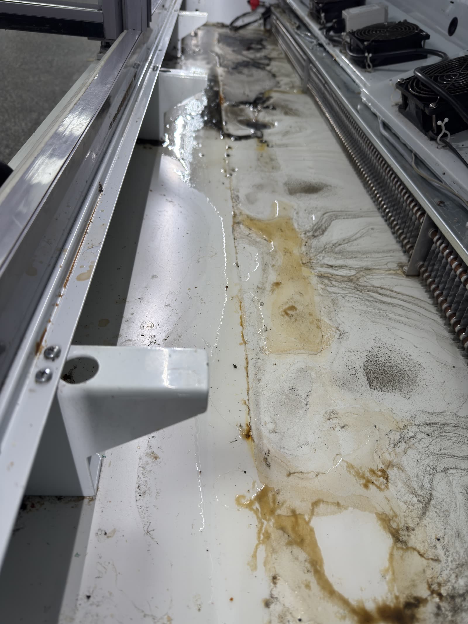 Display fridge — extreme deep clean before clean